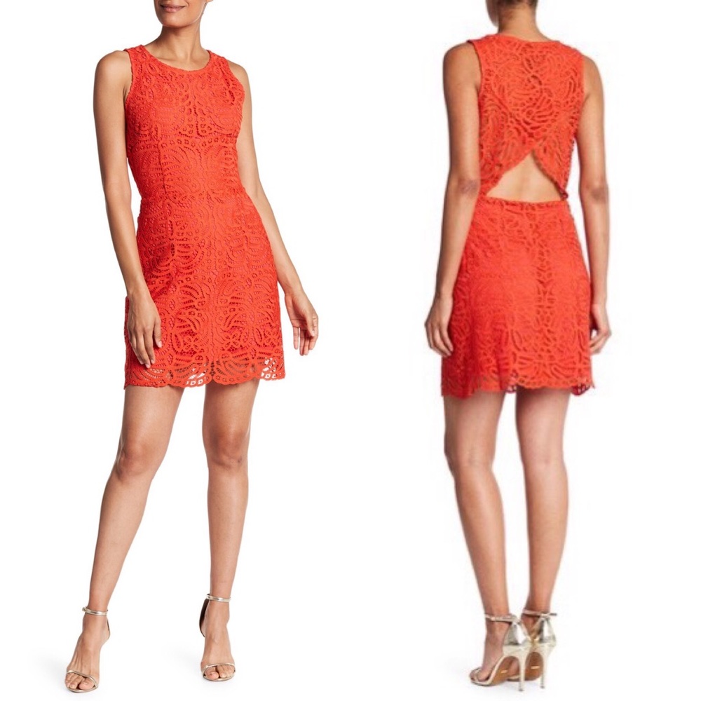 Amanda UpRichard | Poppy Lace Crochet Knit Dress - Picture 1 of 7